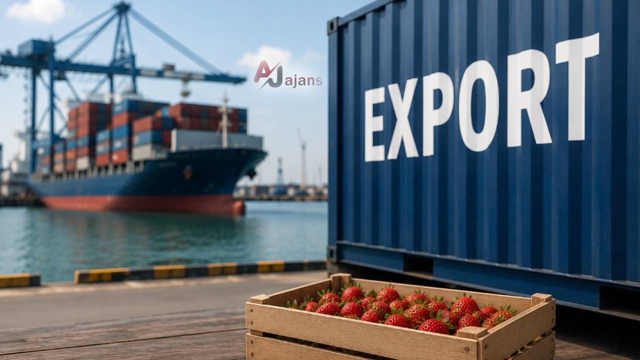 Azərbaycan çiyələkdən MİLYONLAR QAZANDI