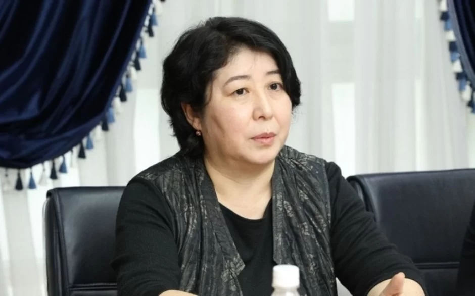 Qırğız Prezidentinin xüsusi nümayəndəsindən COP29-la bağlı açıqlama 