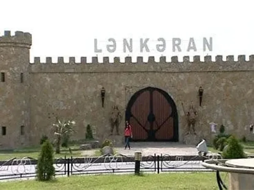 Lənkəranda mikroavtobus qadını vurdu