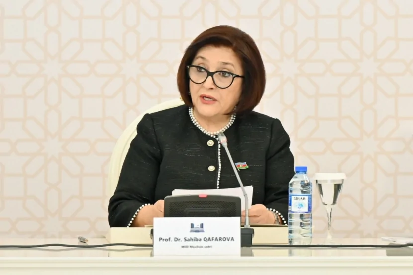 MSK yüksək səviyyədə işləyir- Sahibə Qafarova