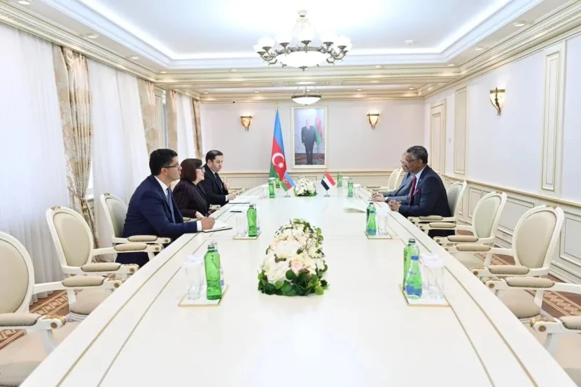 Sahibə Qafarova Sudanın səfiri ilə GÖRÜŞÜB