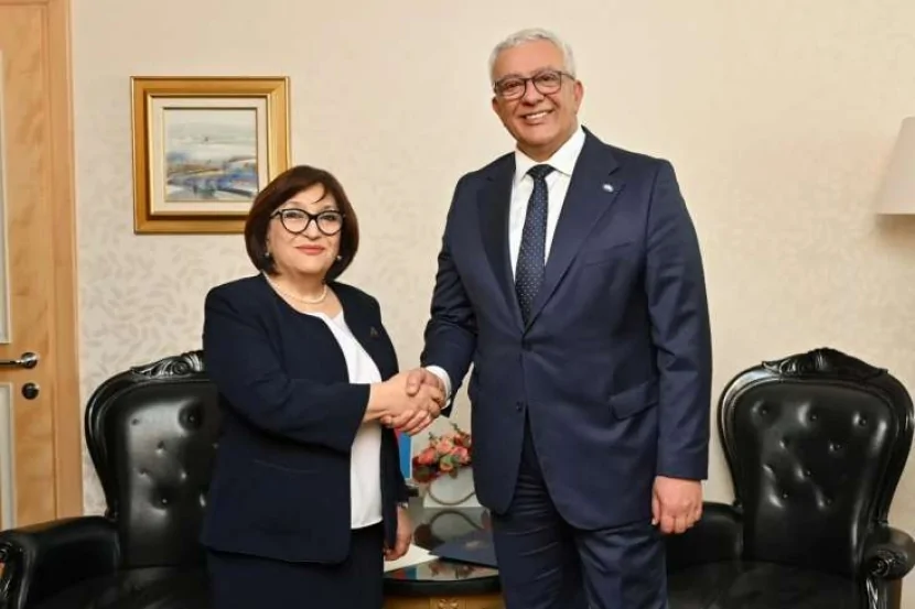 Sahibə Qafarova ilə Andriya Mandiçın görüşü oldu