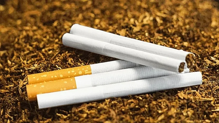Azərbaycanın tütün idxalına çəkdiyi xərc 52 milyon dollara çatıb